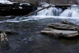 Waterfall Glen Preserves