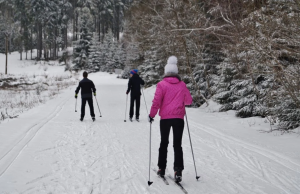 Tres personas esquiando en la Reserva Forestal de Salt Creek